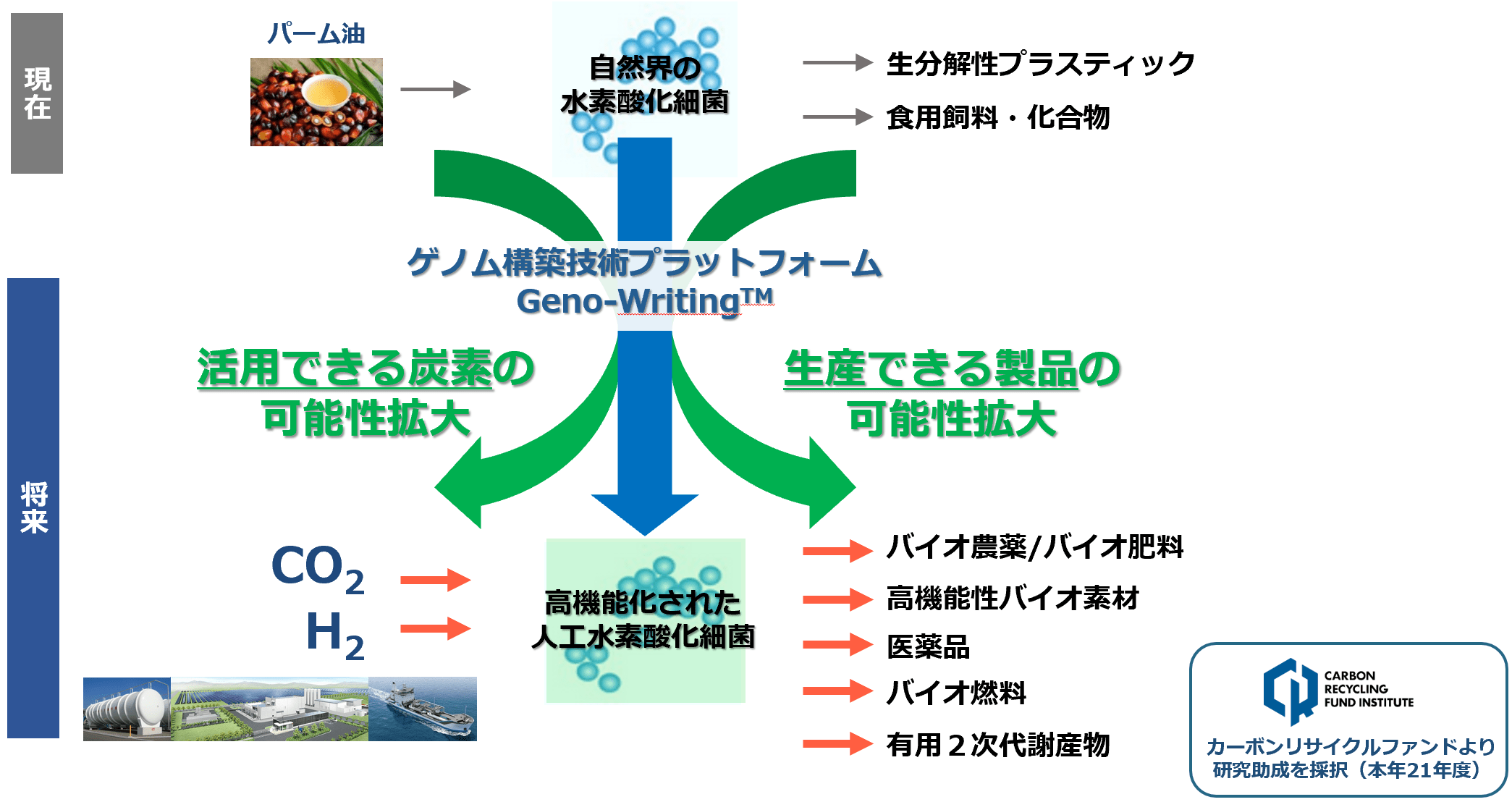 CO2固定化微生物の開発
