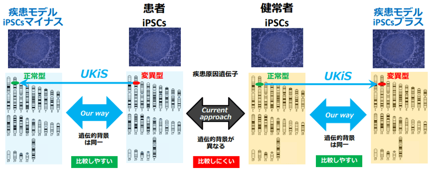 独自疾患モデル細胞や治療用細胞開発を用いた創薬支援