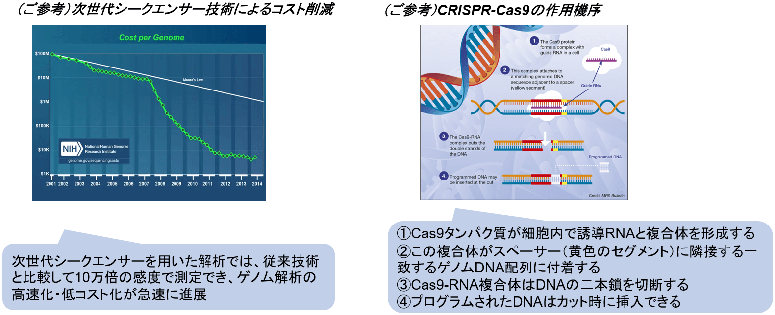 合成生物学概要