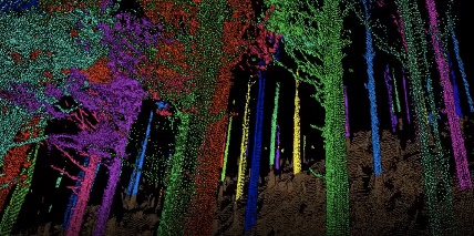 ローカスブルー事業概要