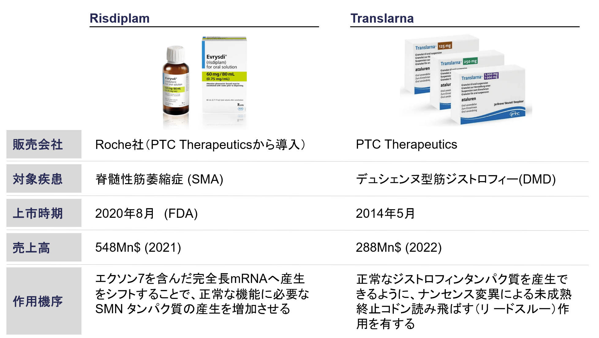 市場規模と動向