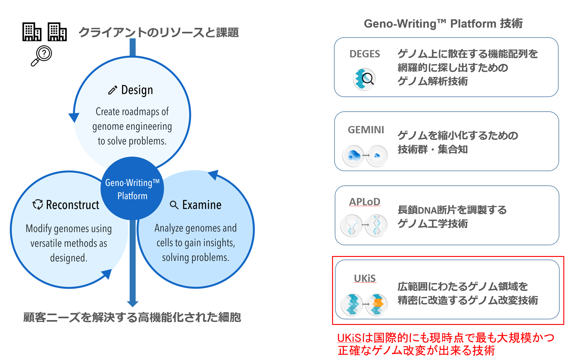 サービス概要
