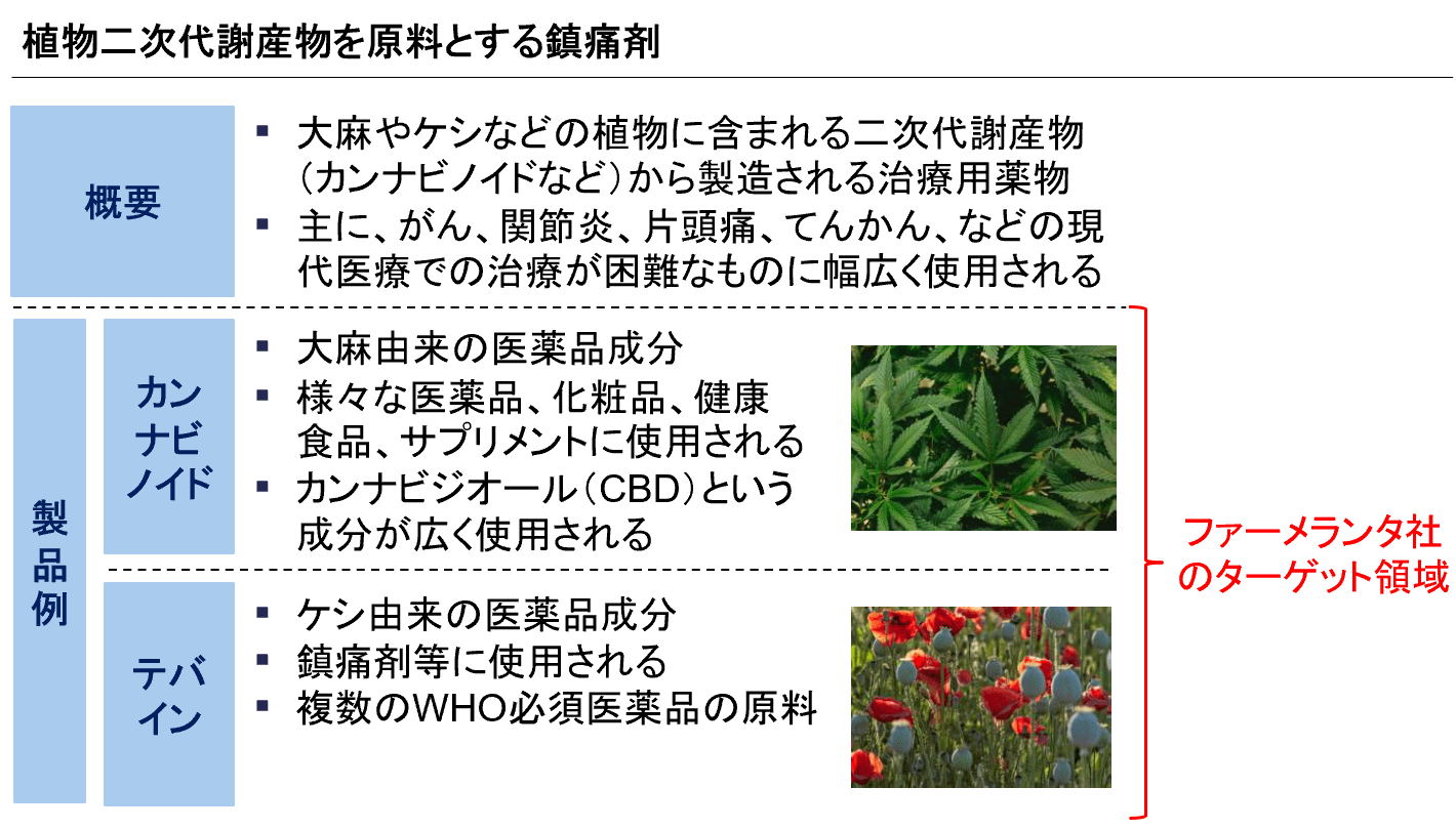 植物二次代謝産物を原料とする鎮痛剤