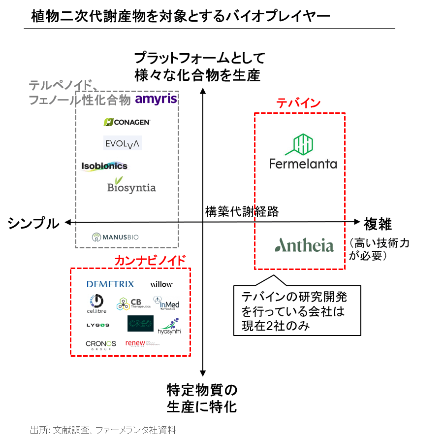 競合状況